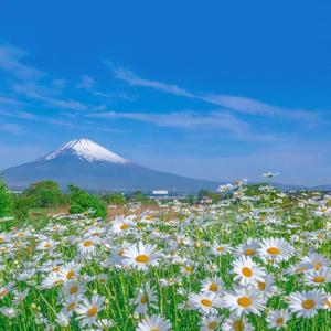 偷窃蹲便第10集
